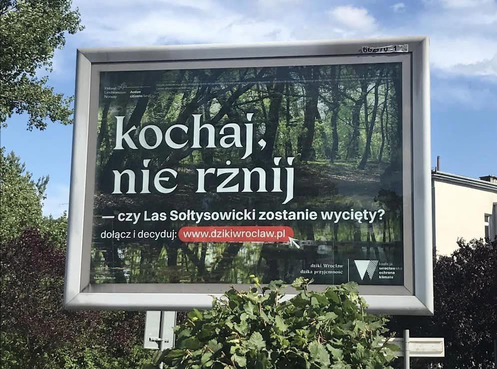 Dziki Wrocław – dzika przyjemność